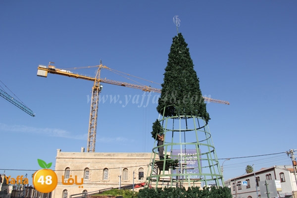 tree 3ed milad 1202 (1).JPG